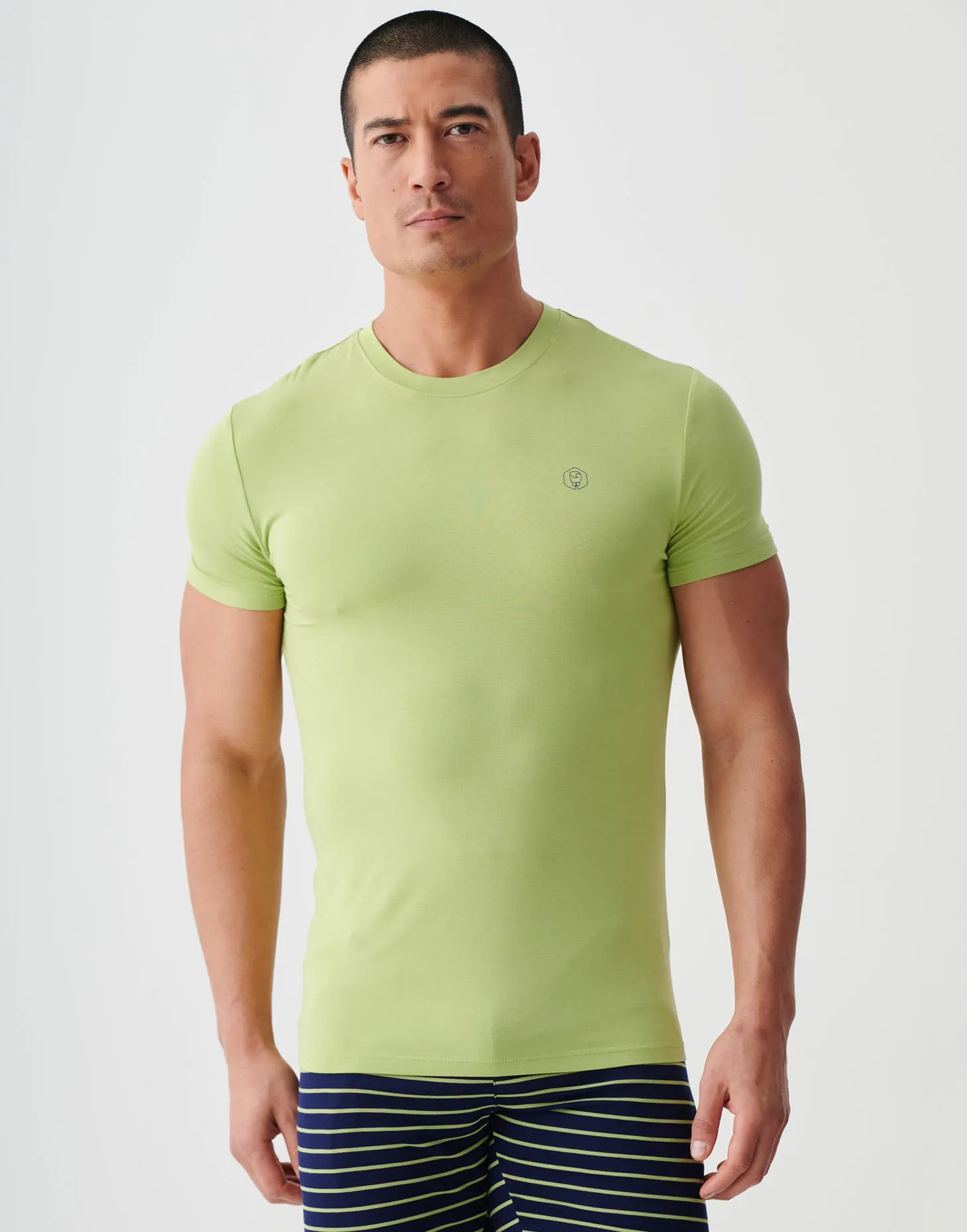 Two-pack Men's Bamboo T-Shirts – Tarragon & Navy
