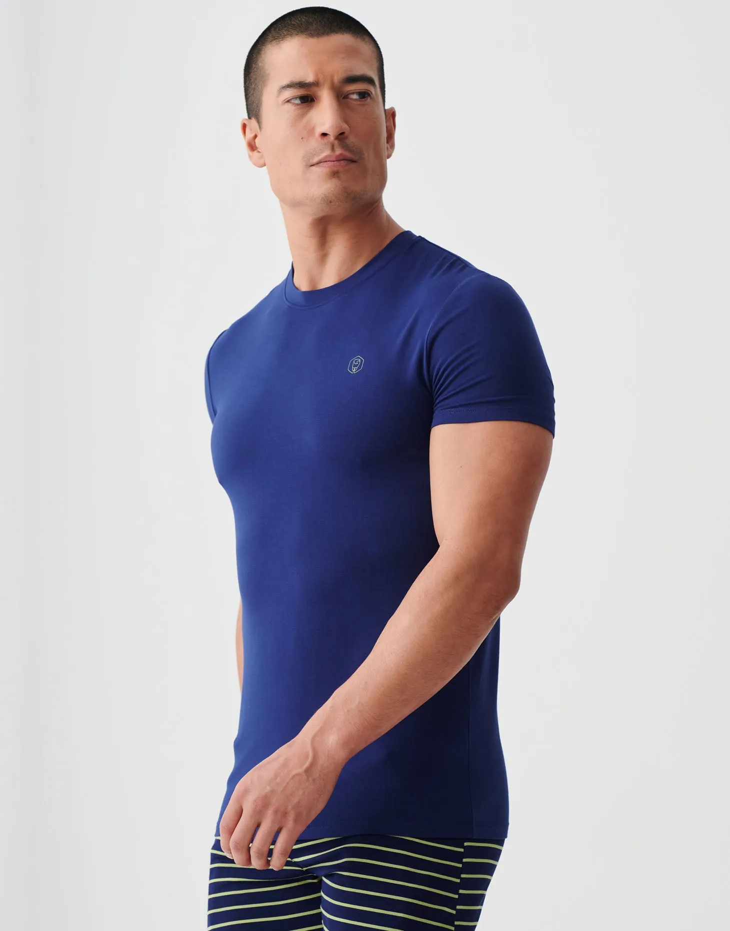Two-pack Men's Bamboo T-Shirts – Tarragon & Navy